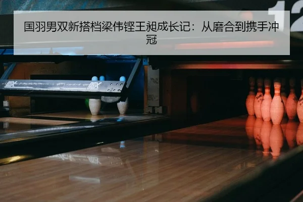 国羽男双新搭档梁伟铿王昶成长记：从磨合到携手冲冠
